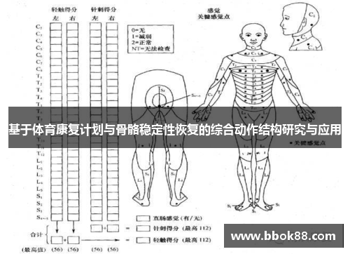 基于体育康复计划与骨骼稳定性恢复的综合动作结构研究与应用